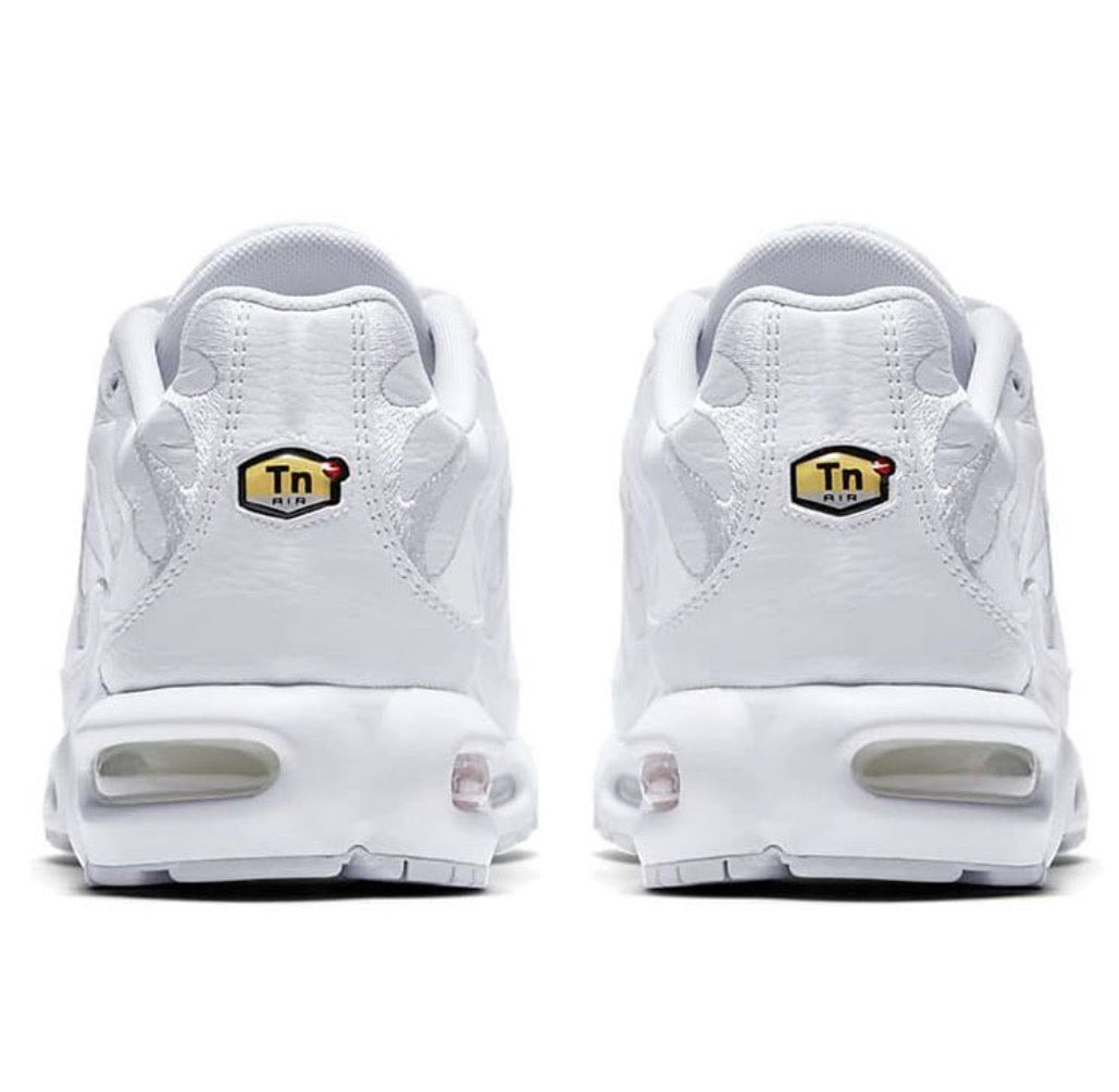 Tn nike air full White